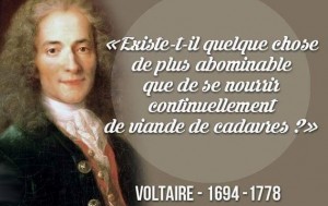Commentaire au sujet des animaux et les humains …